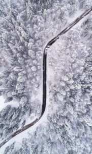 A snowy road with trees on the way to a depression psychologist new york