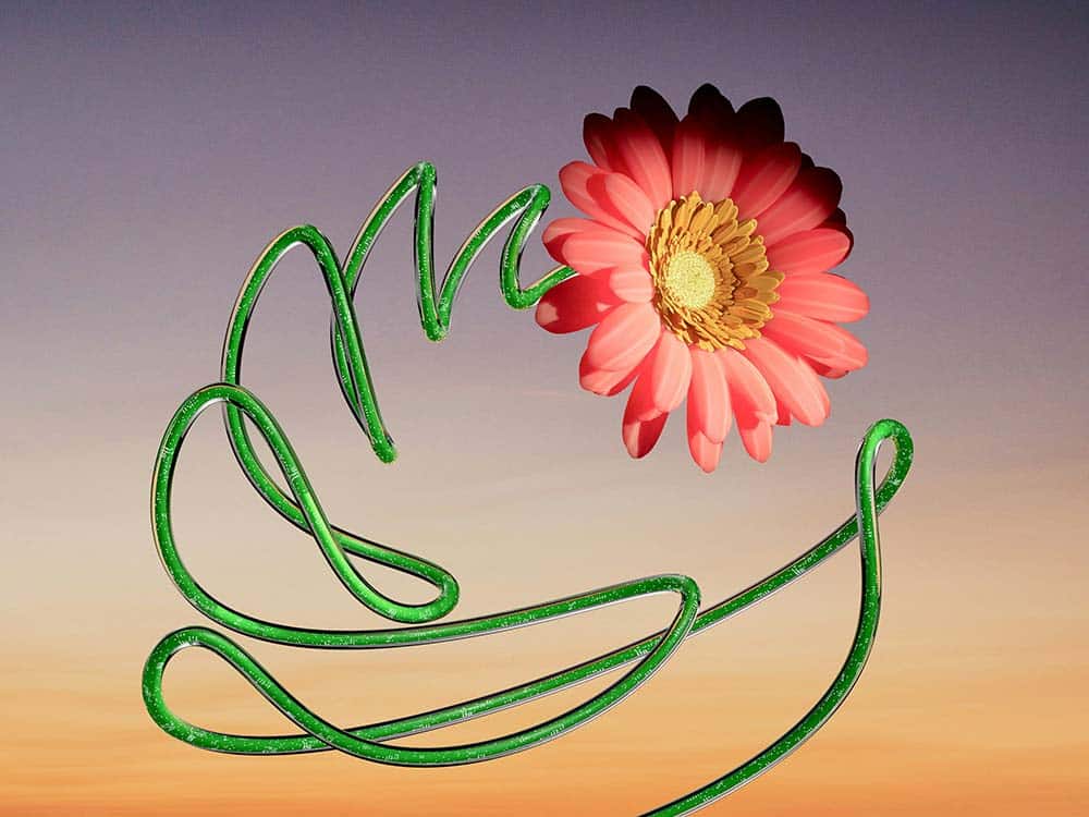 A pink gerbera daisy with an abstract, looping green glass stem against a sunset gradient background.