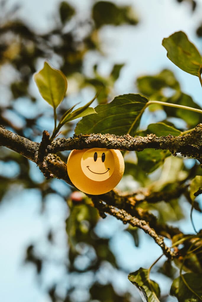 A yellow smiley face ball tucked into the branch of a tree with green leaves against a soft blue sky.