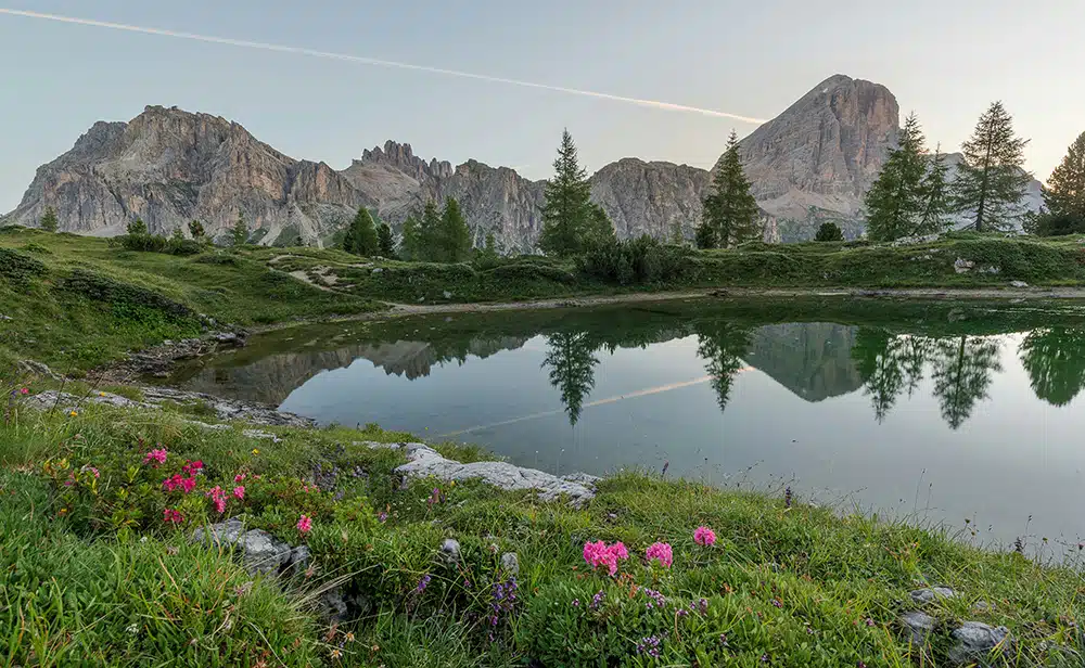 A lake surrounded by mountains with pink flowers